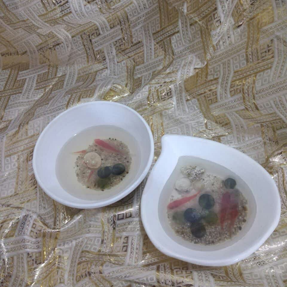 حوضچه ماهی رزین تزیینی