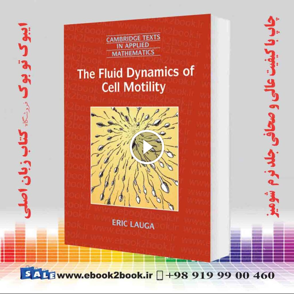 The Fluid Dynamics of Cell Motility