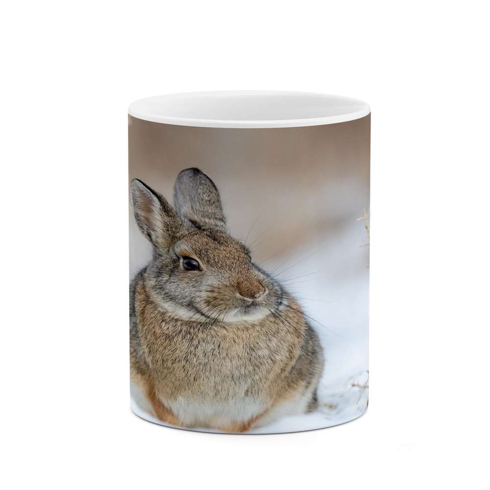 ماگ کاکتی طرح خرگوش مدل mgs14170