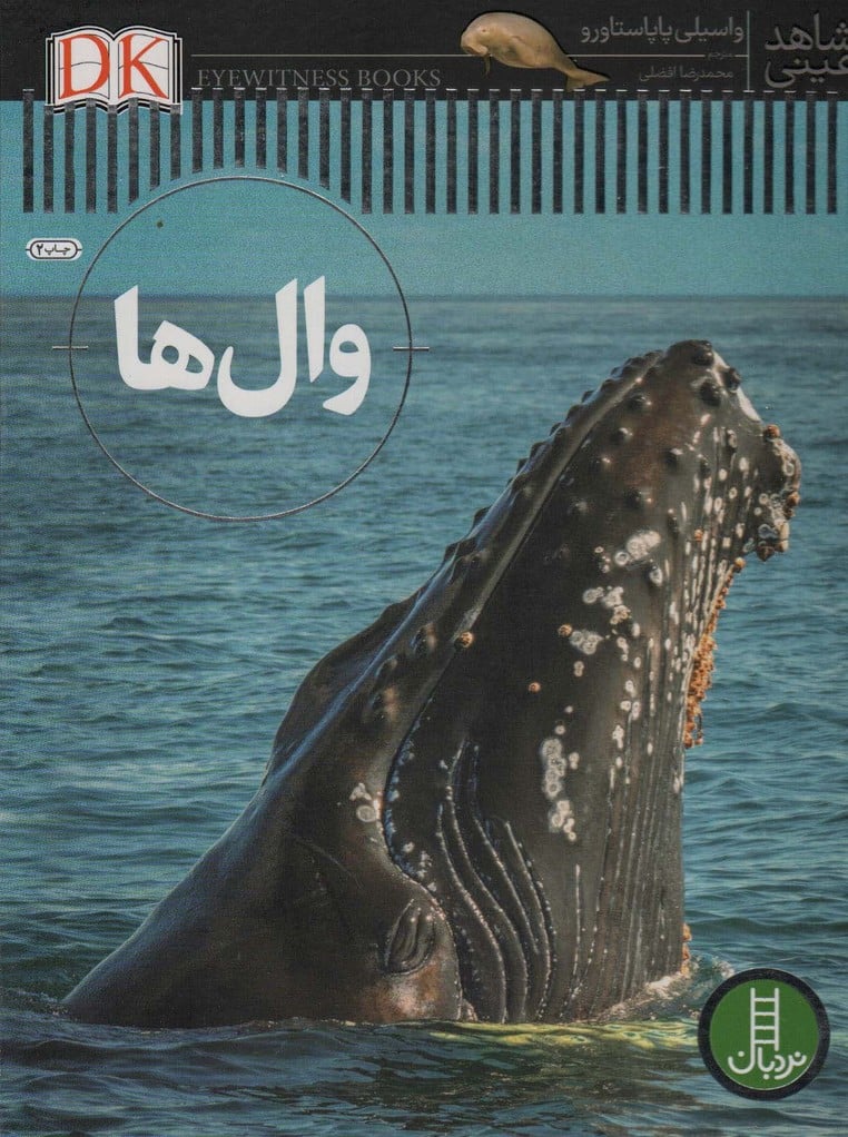 وال ها (شاهد عینی) - کتابفروشی کوچه کتاب