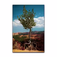 تابلو شاسی گوفی مدل طبیعت کوه و درخت طرح Nature Tree کد HIGH26 | دنیای قاب