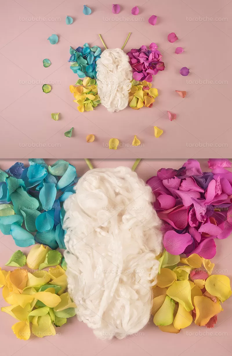 بک دراپ عکاسی نوزاد پروانه ای | گرافیک با طعم تربچه