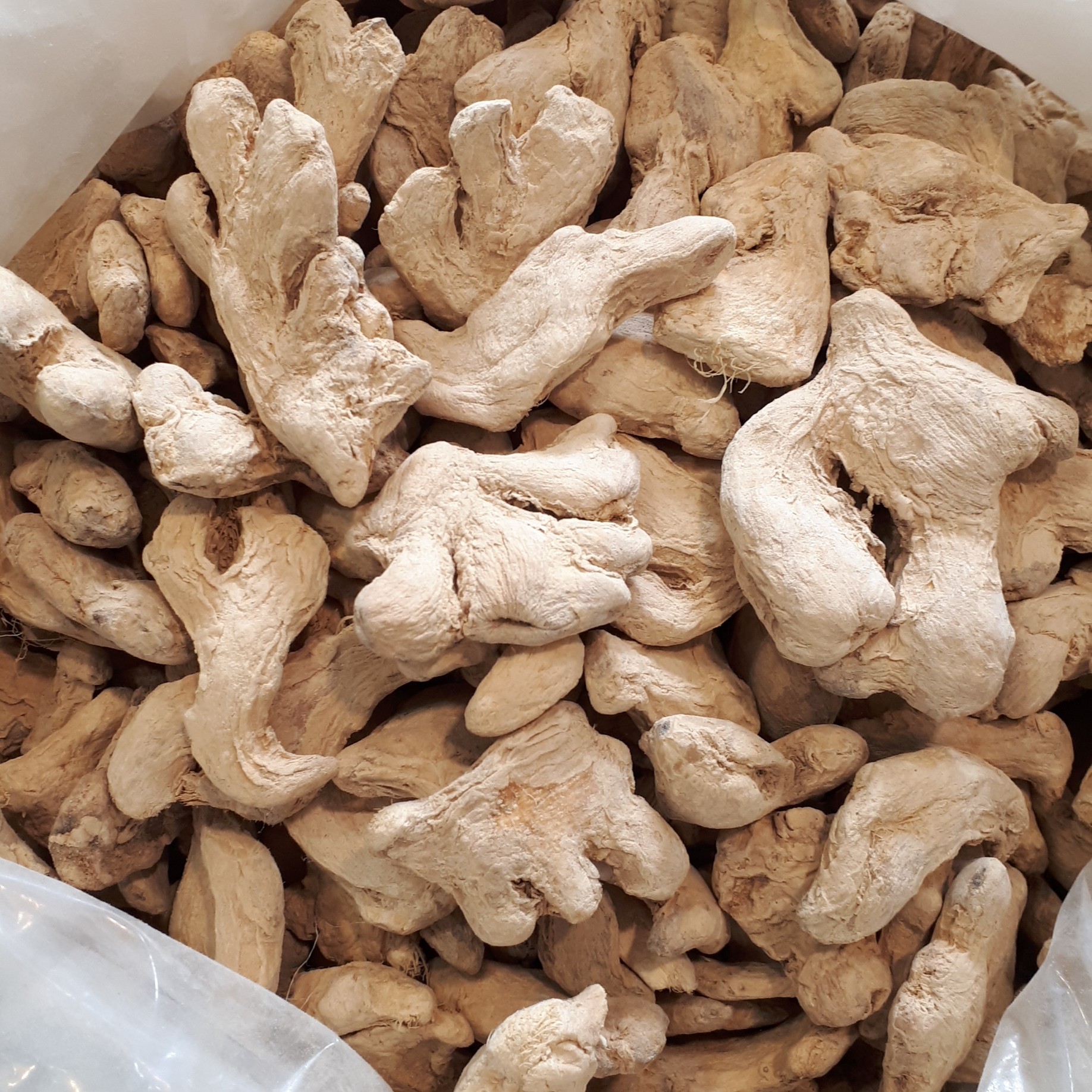 زنجبیل 250گرم