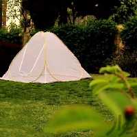 پشه بند 6 نفره