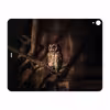 برچسب پوششی ماهوت مدل Owl مناسب برای تبلت اپل iPad Pro 12.9 (GEN 3) 2018 A2014