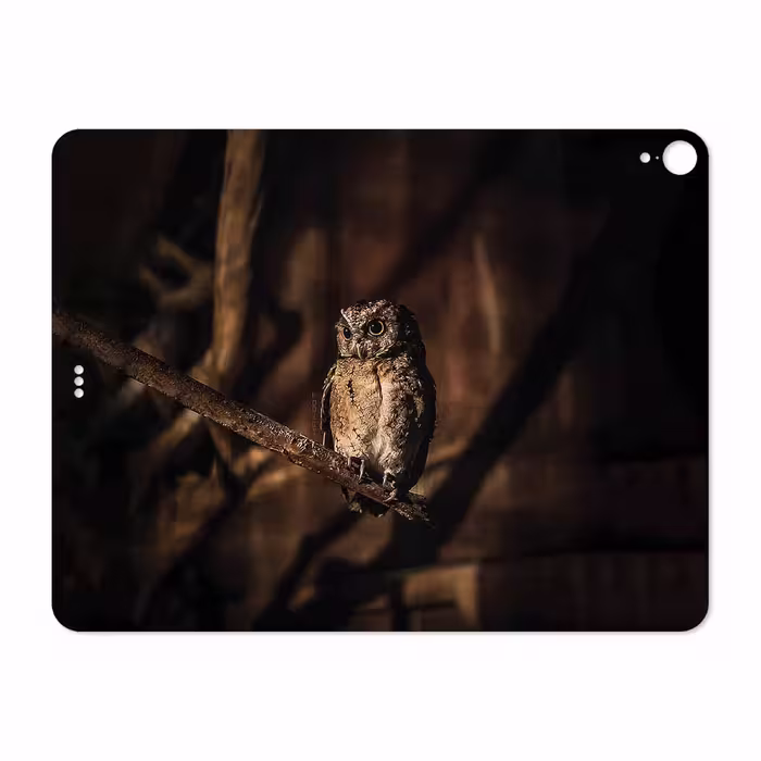 برچسب پوششی ماهوت مدل Owl مناسب برای تبلت اپل iPad Pro 12.9 (GEN 3) 2018 A2014