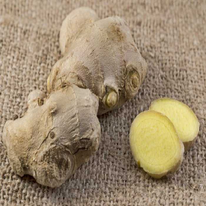 خرید و دانلود عکس Food object کد 18501 | پیک فاکس | Pic Fox