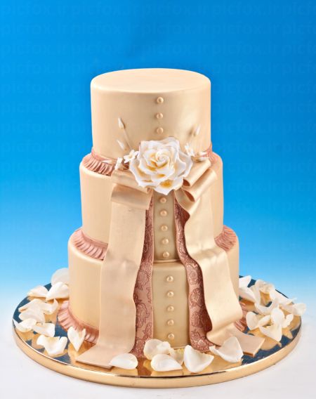 خرید و دانلود عکس Food-Part-50 کد 23279 | پیک فاکس | Pic Fox