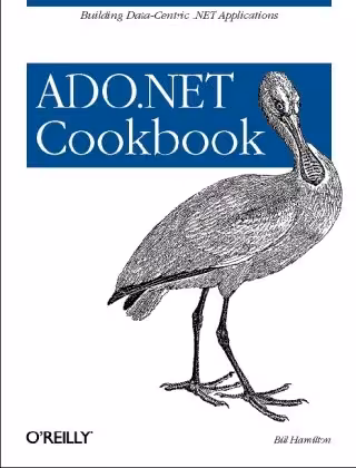 خرید و دانلود نسخه کامل کتاب ADO.NET 3.5 Cookbook
