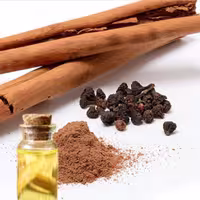 روغن دارچین حجم30mil-با-بسته-بندی-قابل-حمل-پت- به-رنگ-طلایی-خاکی-برندراگاraga