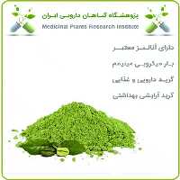عصاره قهوه سبز خشک یا پودری
