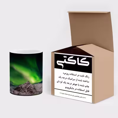 ماگ حرارتی کاکتی طرح فانتزی مدل mgh17381