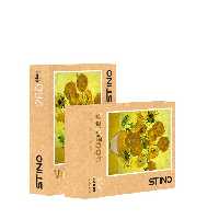 پازل شیشه ای استینو 260 تکه طرح ونگوگ (کد 12107)،(باجعبه) - ناشربوک | خرید آنلاین کتاب