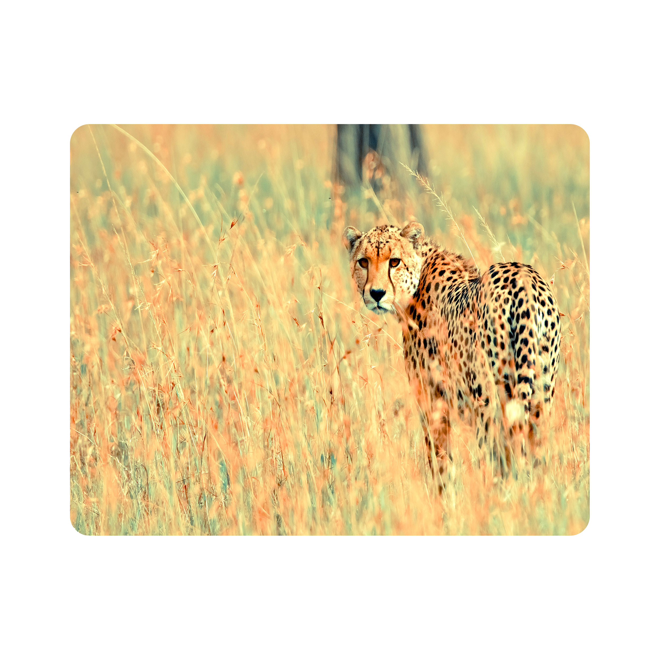 ماوس پد طرح یوز پلنگ مدل T8077