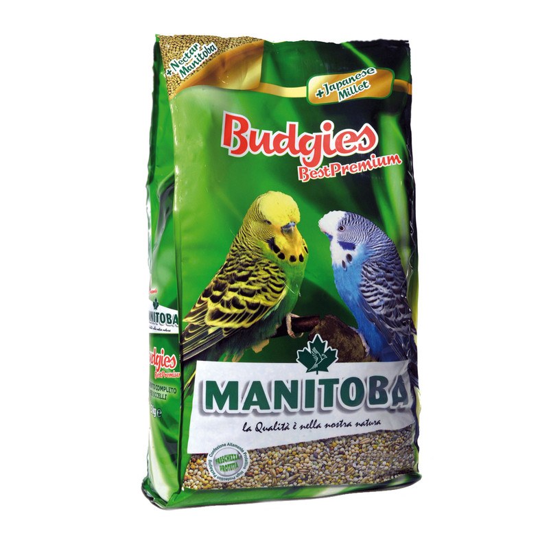 غذای ایتالیایی مرغ عشق مانیتوبا مدل budgies وزن 1 کیلوگرم