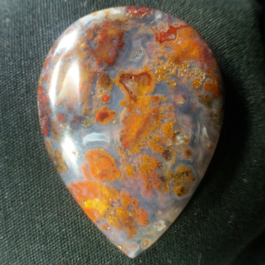 نگین شجر شکوفه هفت رنگ