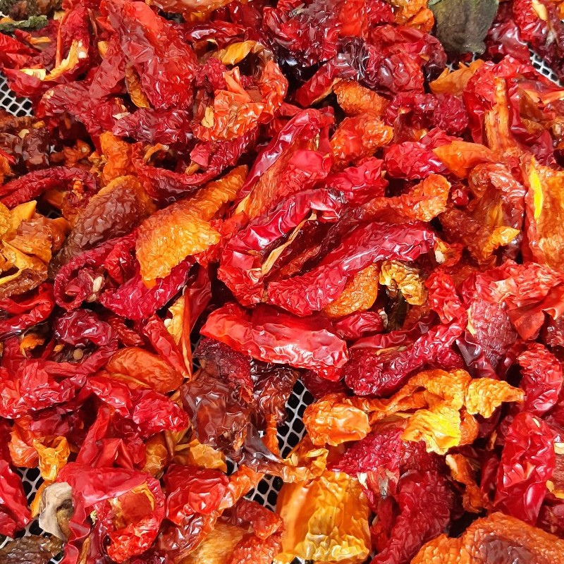 فلفل دلمه ای خشک شده