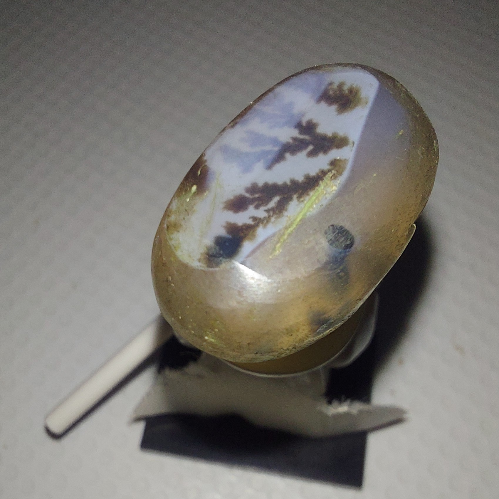 نگین شجر  دو پوست قائن معدنی زیبا 