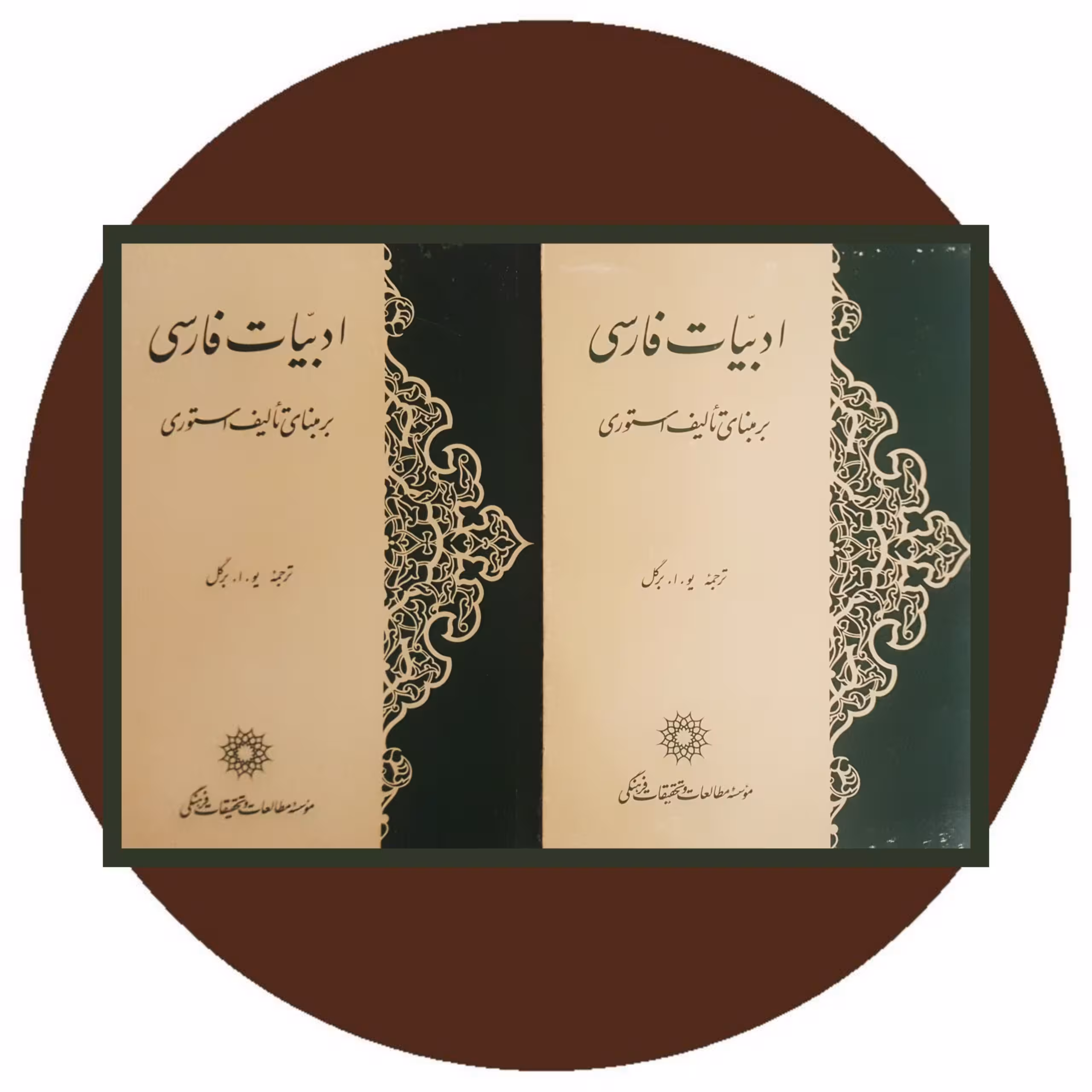 کتاب ادبیات فارسی برمبنای تالیف استوری (دوجلد) - خرید از کتاب دایره قهوه ای