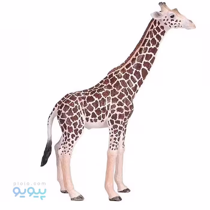 فیگور حیوانات زرافه