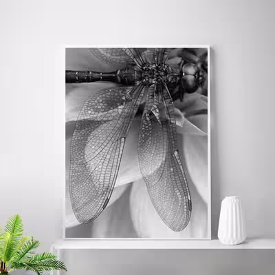 تابلو روما دیزاین طرح نوشته و بال حشره و عروس دریایی مدل A02d مجموعه 3 عددی