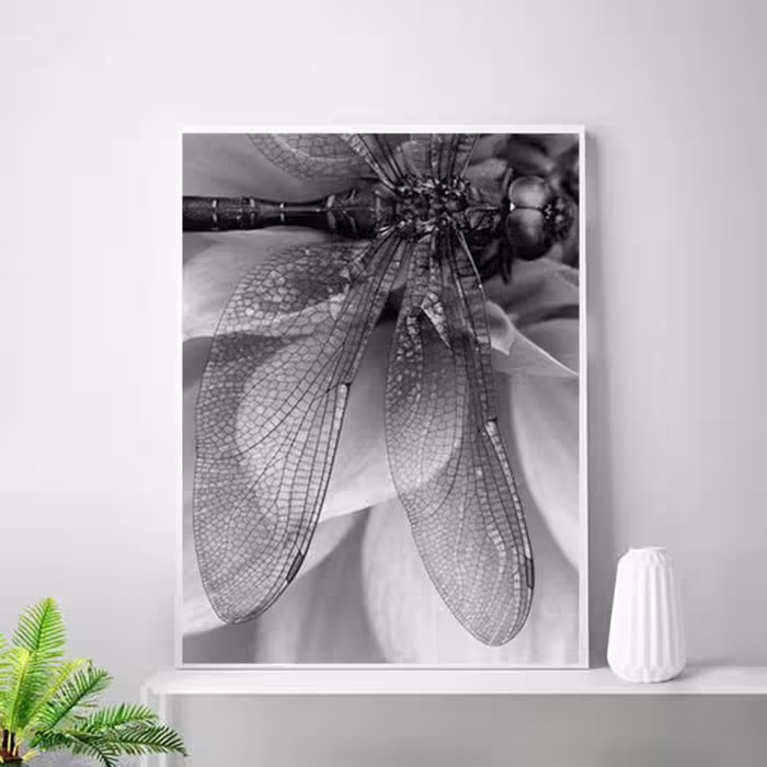 تابلو روما دیزاین طرح نوشته و بال حشره و عروس دریایی مدل A02d مجموعه 3 عددی