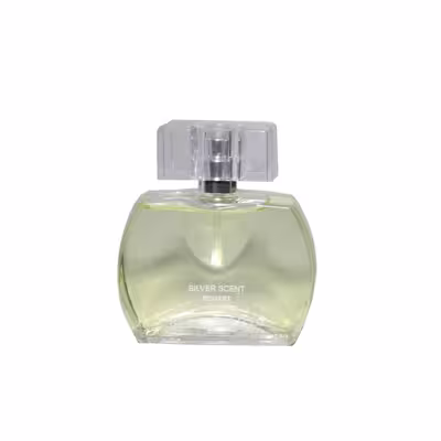 ادو تویلت مردانه بوگارت مدل Silver Scent حجم 75 میلی لیتر