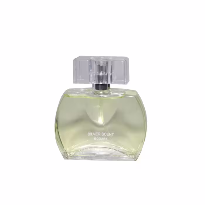 ادو تویلت مردانه بوگارت مدل Silver Scent حجم 75 میلی لیتر