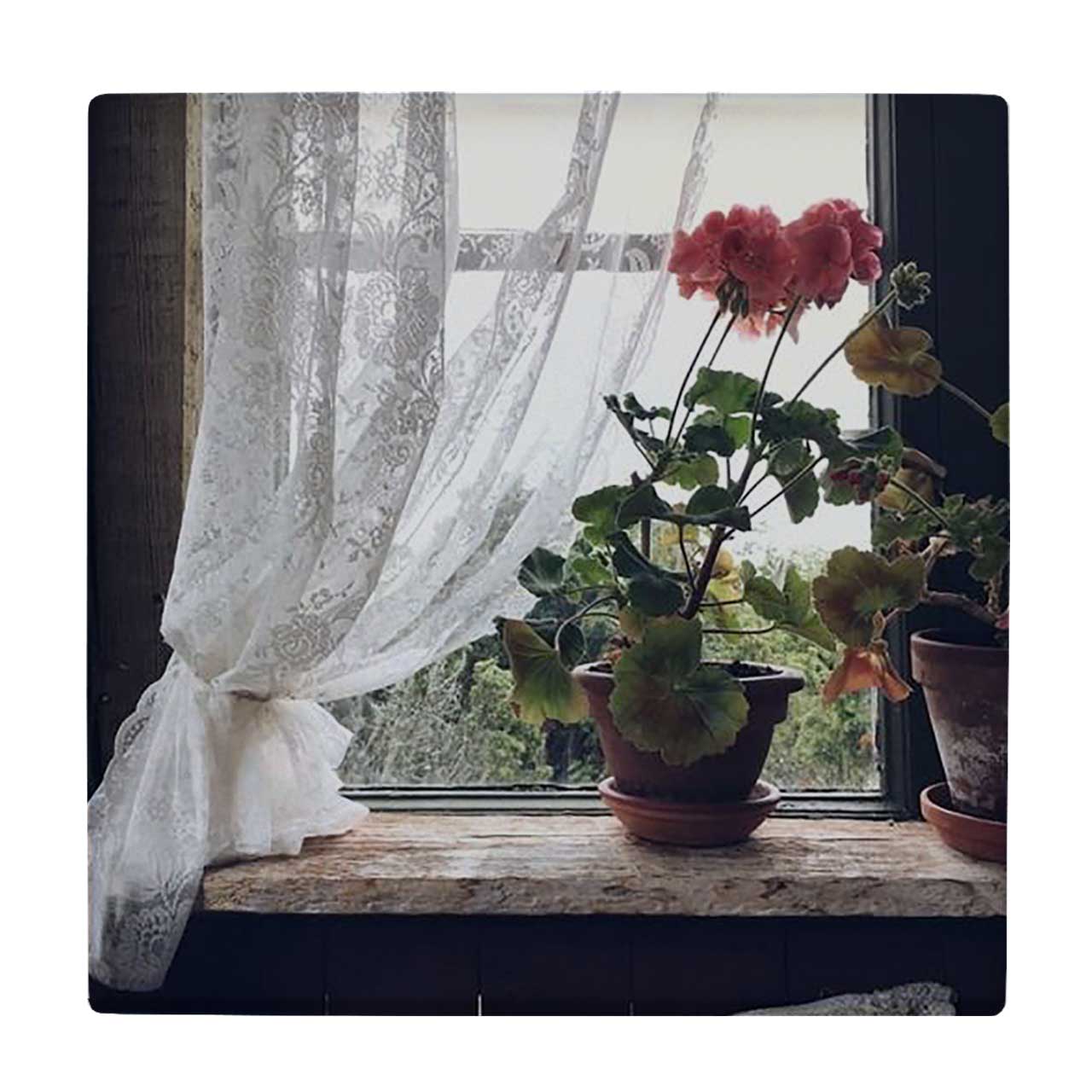  کاشی کارنیلا طرح گلدان شمعدانی پشت پنجره کد wkk1362