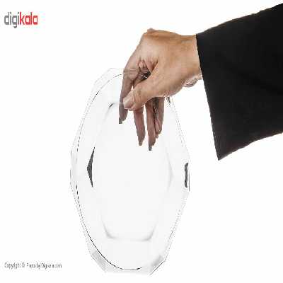 پیش دستی پاشاباغچه سری نیود کد 68217