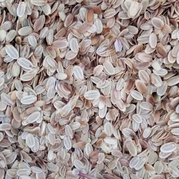 بذر انغوزه درجه یک مناسب برای کاشت و پرورش (پس کرایه)