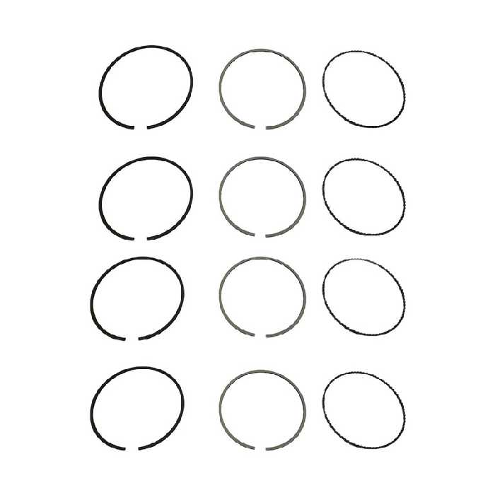 رینگ موتور تی پی کد 01117 مناسب برای روآ بسته 12 عددی | بازرگانی مرتضی