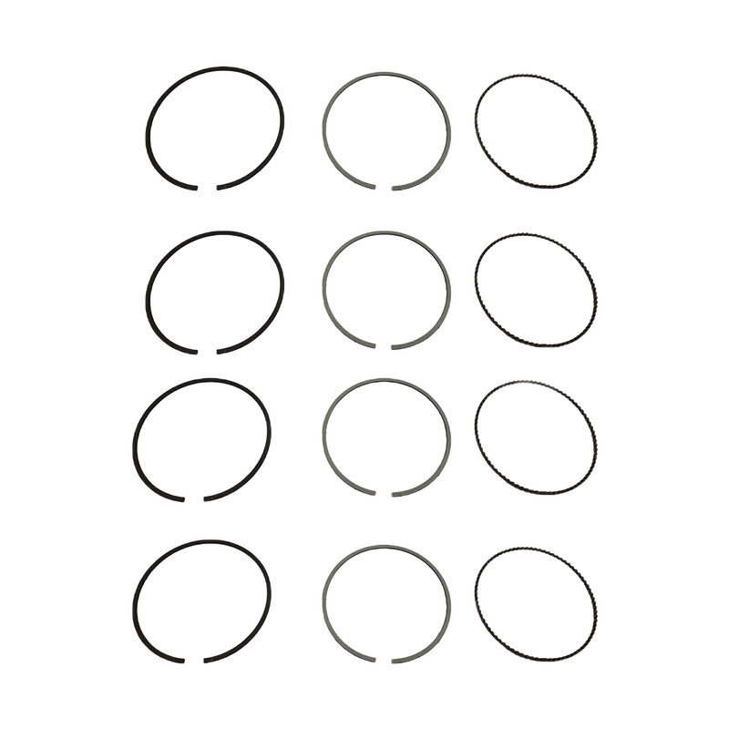 رینگ موتور تی پی کد 01117 مناسب برای روآ بسته 12 عددی | بازرگانی مرتضی