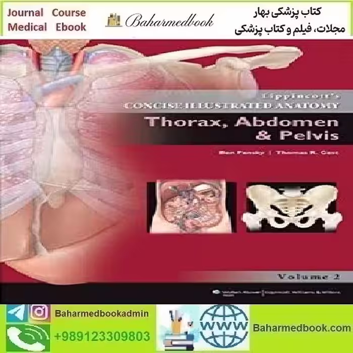 Lippincott's Concise Illustrated Anatomy Thorax Abdomen &amp; Pelvis