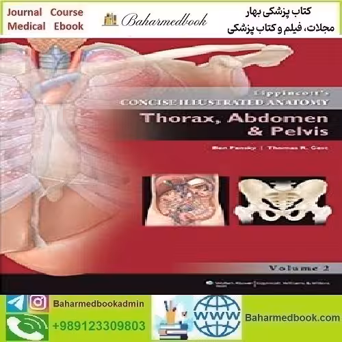 Lippincott's Concise Illustrated Anatomy Thorax Abdomen &amp; Pelvis