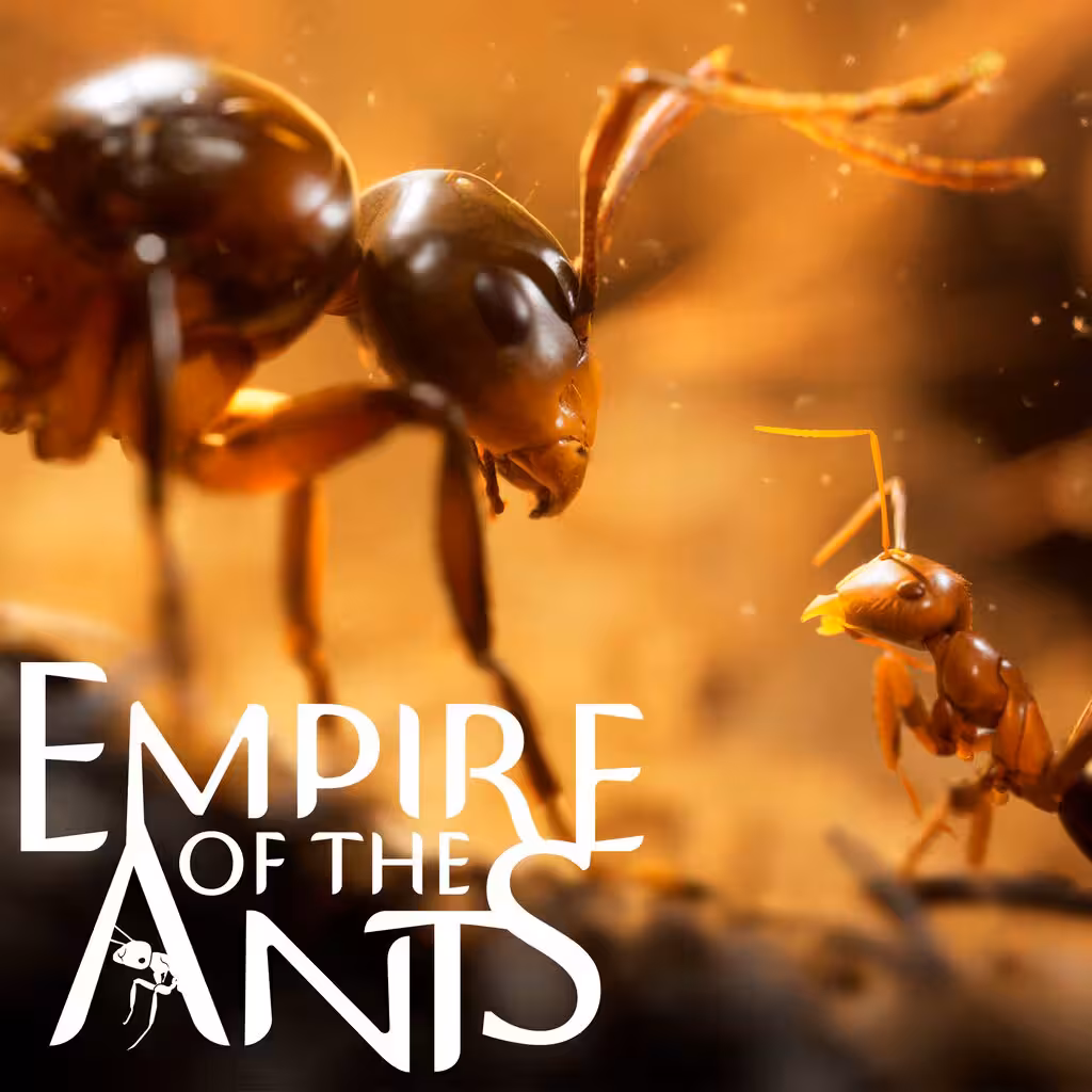 خرید اكانت Empire of the Ants ظرفيت دوم PS5 با بهترین قیمت