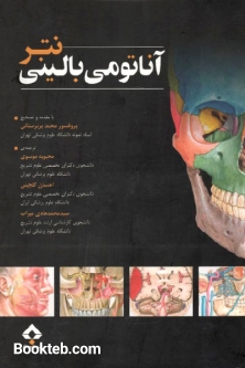 آناتومی بالینی نتر