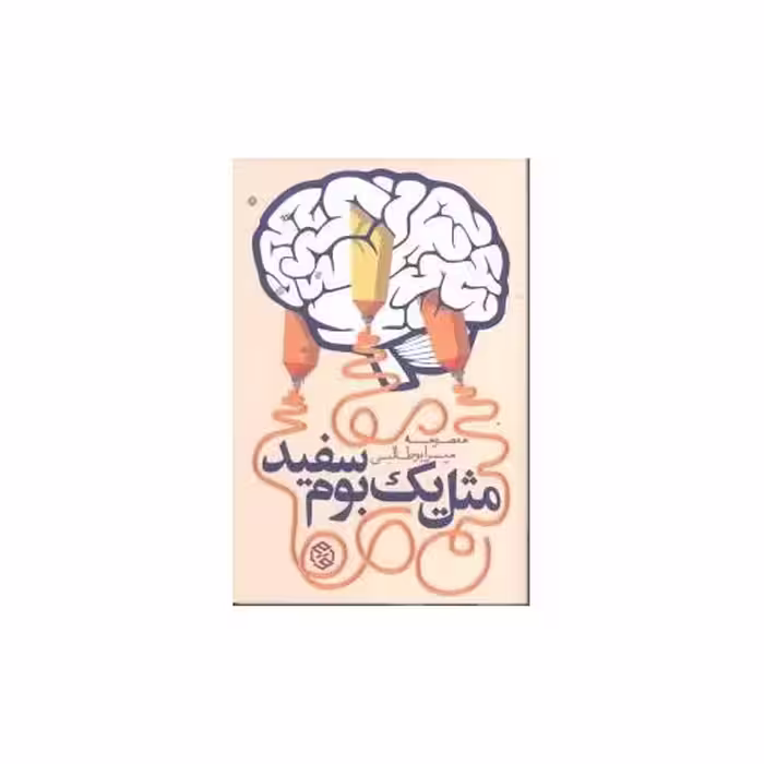 کتاب مثل یک بوم سفید اثر معصومه میرابوطالبی