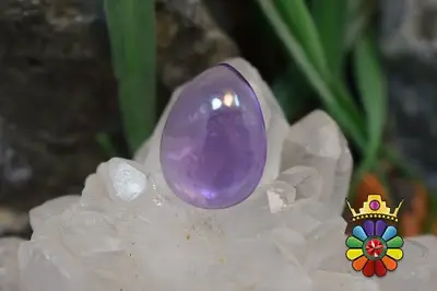 امتیست دامله(کاپوشی)