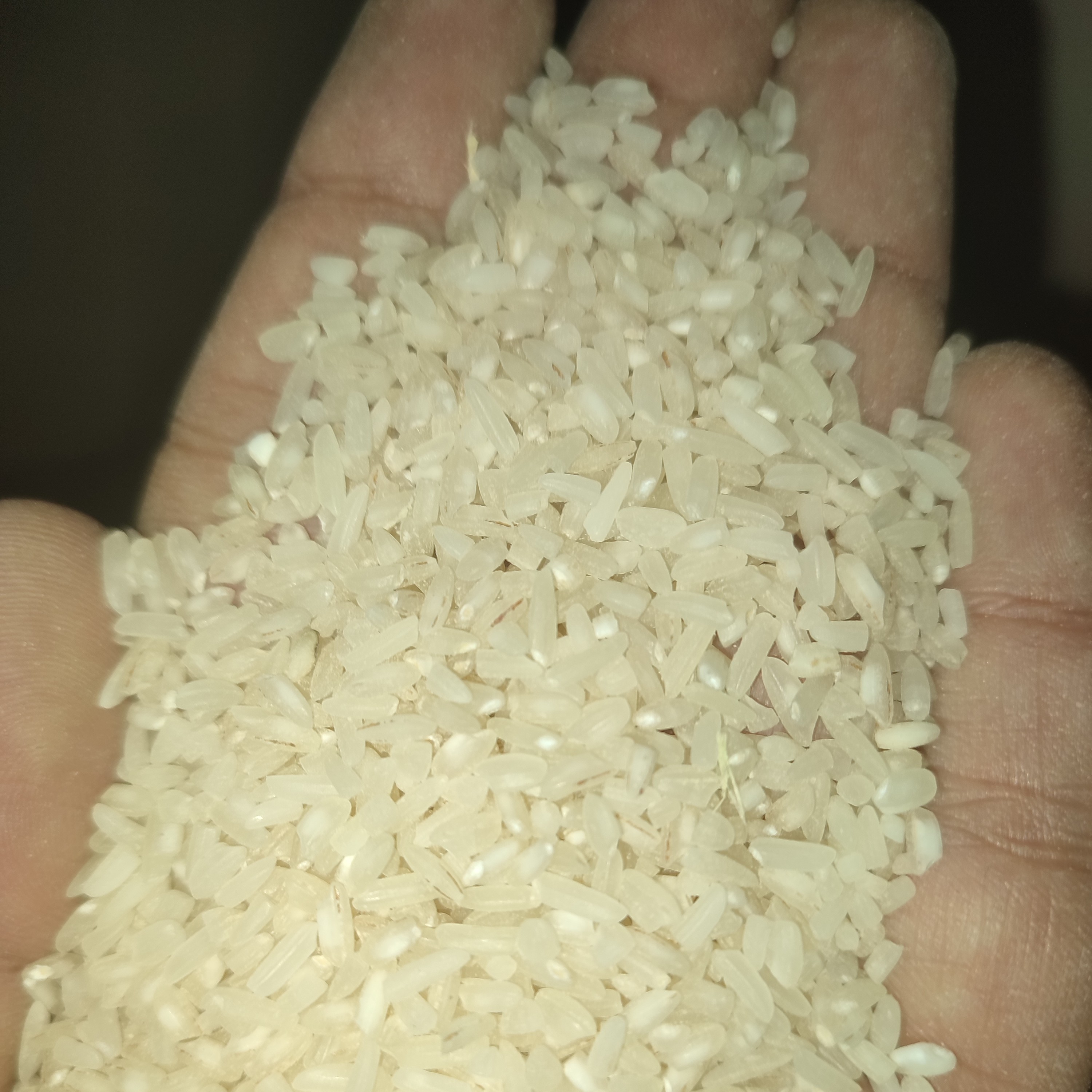 طارم هاشمی شکسته