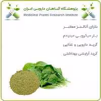 عصاره اسفناج خشک یا پودری