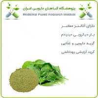 عصاره اسفناج خشک یا پودری