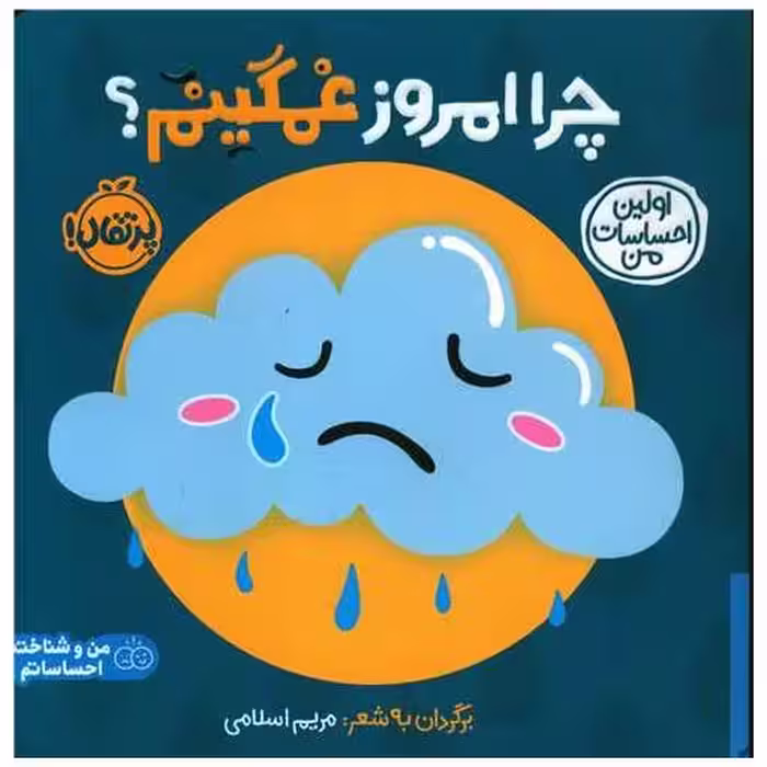 کتاب اولین احساسات من (چرا امروز غمگینم)(خشتی)(پرتقال) اثر مریم اسلامی