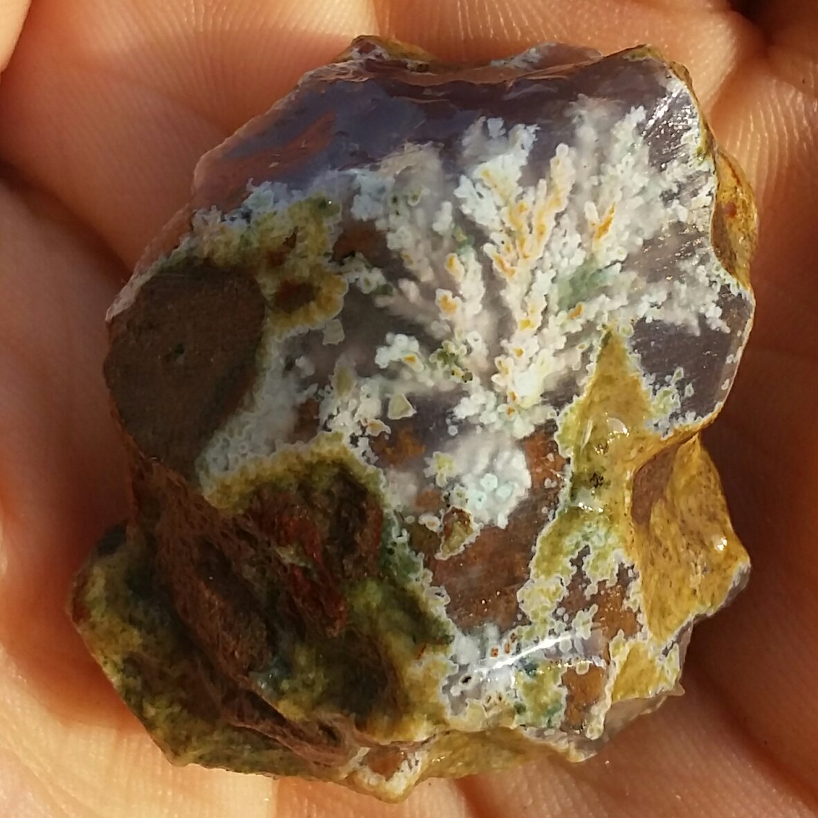 سنگ راف شجر شکوفه 7رنگ زمینه سوسنی خارق العاده محشر 100 در 100 طبیعی شاهکار خلقت تابلو نقاشی طبیعی تکرار نشدنی 