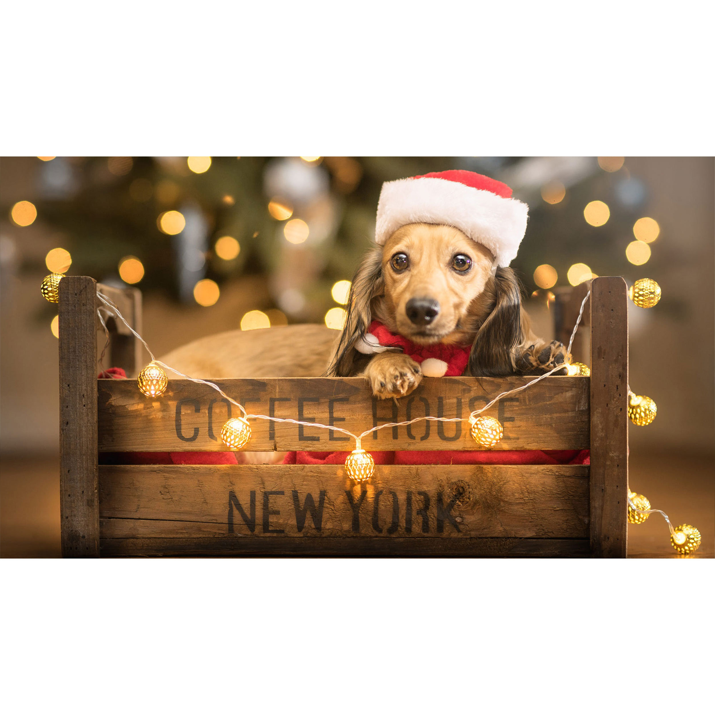 تابلو شاسی طرح سگ مدل T8032