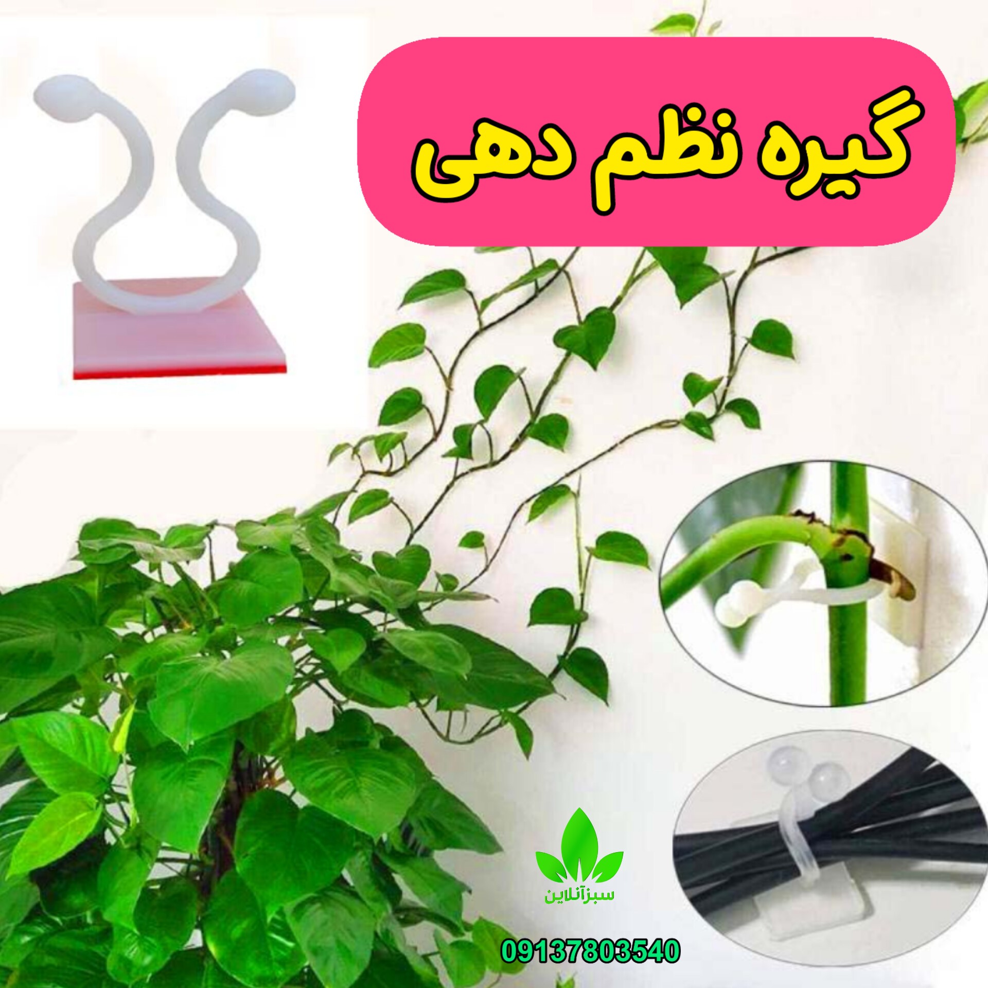 گیره نظم دهنده پتوس و گیاهان رونده 30عددی (نظم دهنده سیم و کابل)