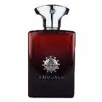 ادو پرفیوم مردانه AMOUAGE Lyric
