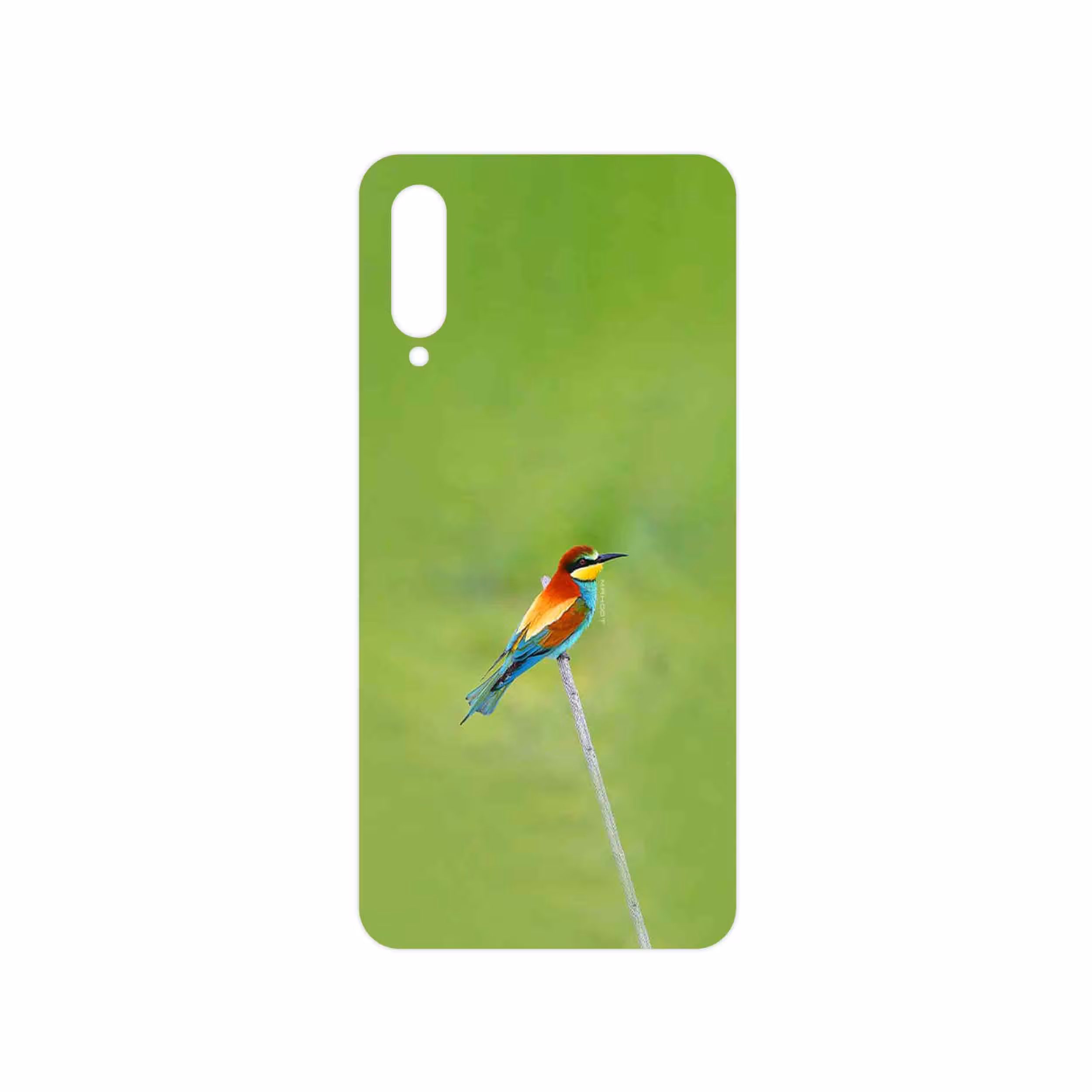 برچسب پوششی ماهوت مدل European bee-eater مناسب برای گوشی موبایل سامسونگ Galaxy A50s