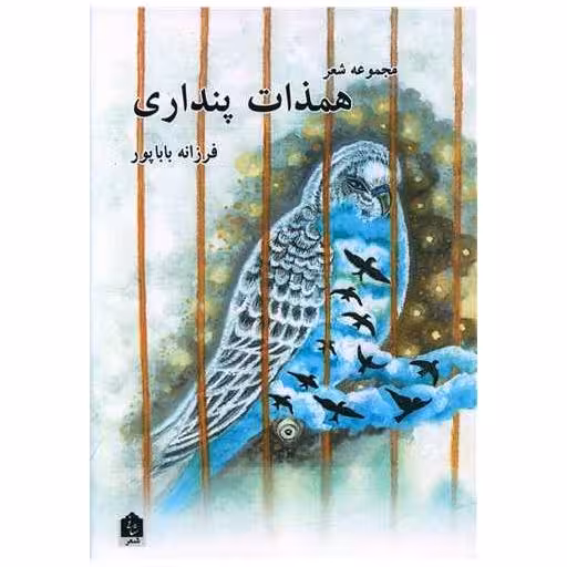 کتاب همذات پنداری اثر فرزانه باباپور