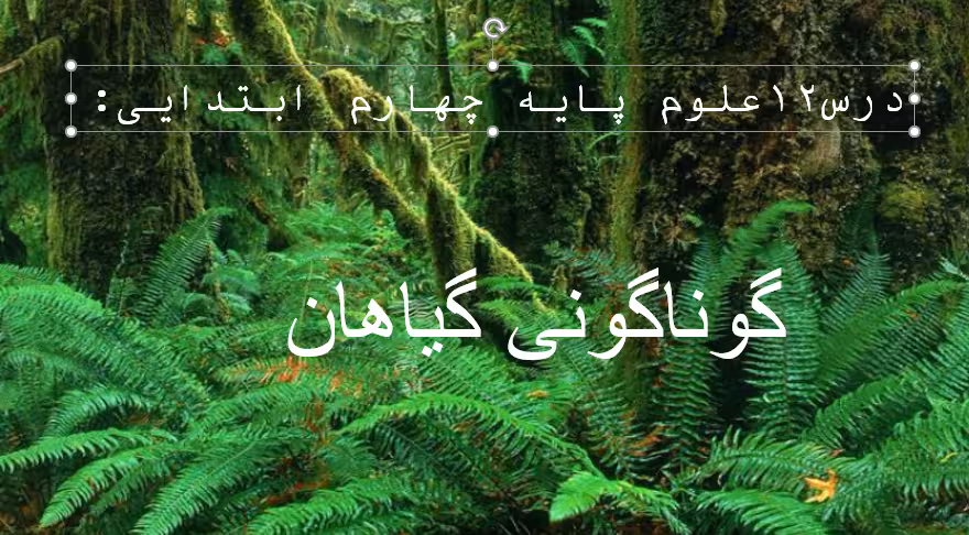 درس 12 علوم پایه چهارم ابتدایی، گوناگونی گیاهان